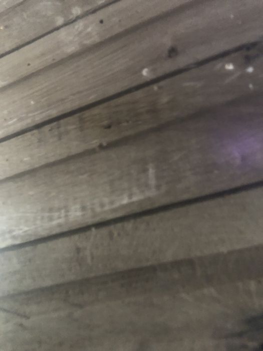 Масивен паркет ясен