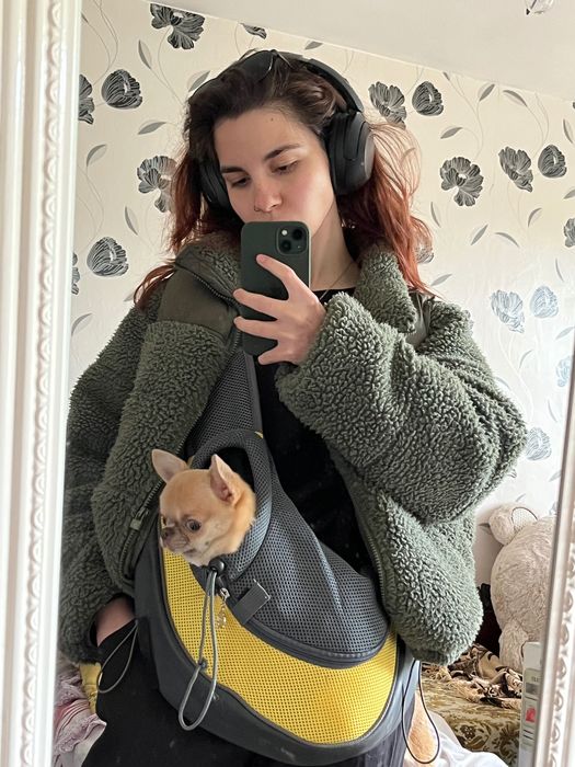 Разходки и грижи за кучета