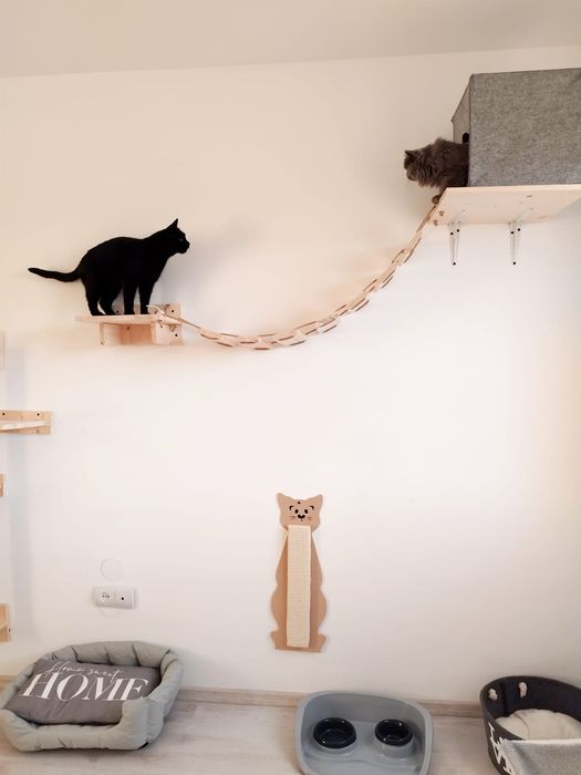 Cazare pentru pisici și alte animaluțe mici