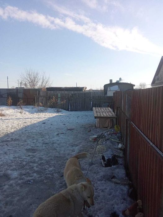 Продам землю с домом