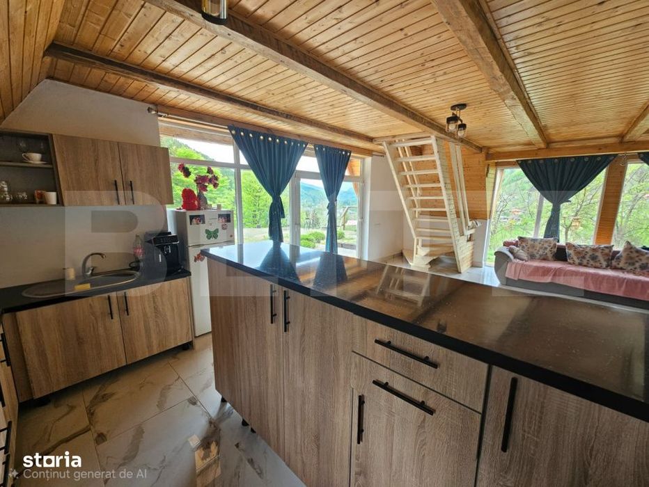 Cabana autentica cu 4565 mp teren, Liniste si Confort, Avram Iancu
