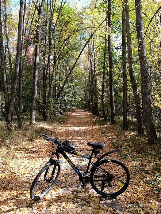 Велосипед для счастья