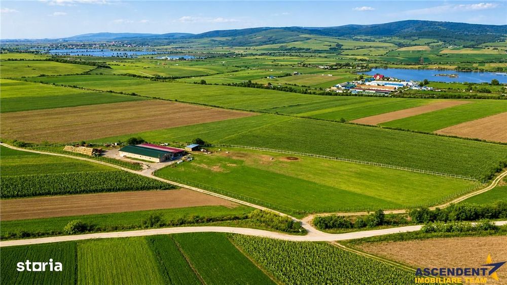 FILM! 18.000 mp, extravilan, agricol+ constructii:ferma,investitii agr