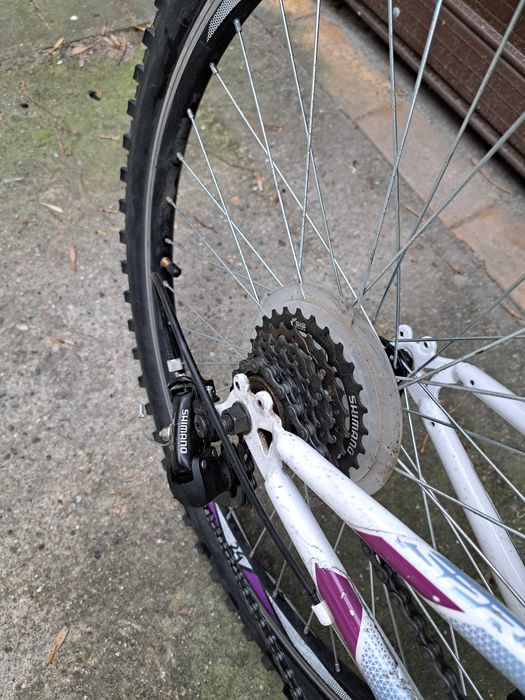 Детско колело Sprint Calypso 24"