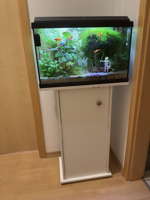 Acvariu 63 l complet