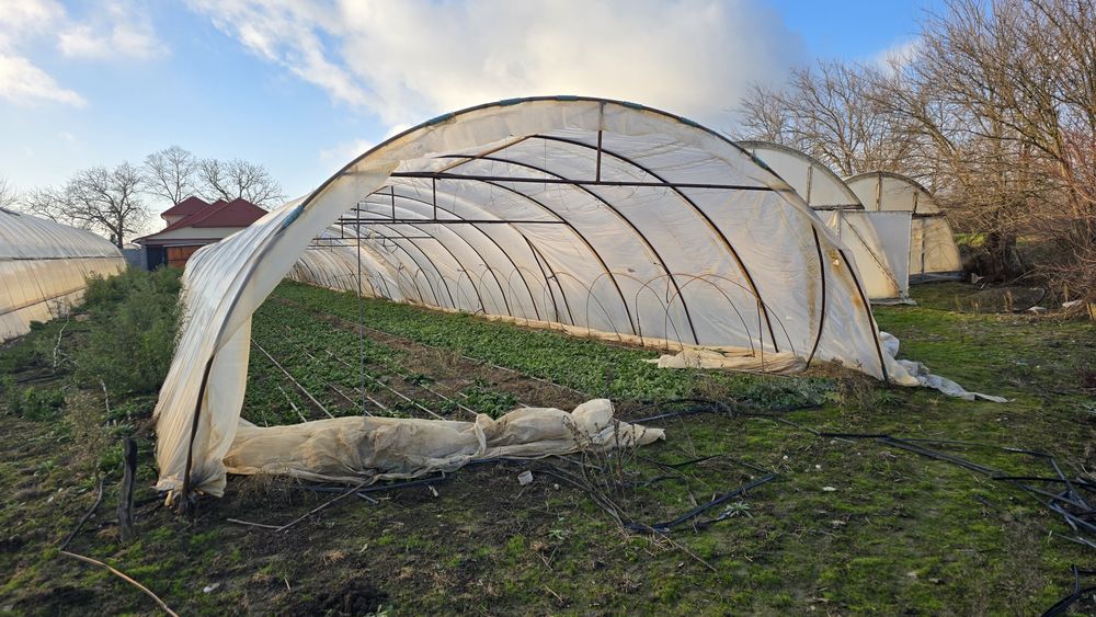 Vand solarii legume/tunel