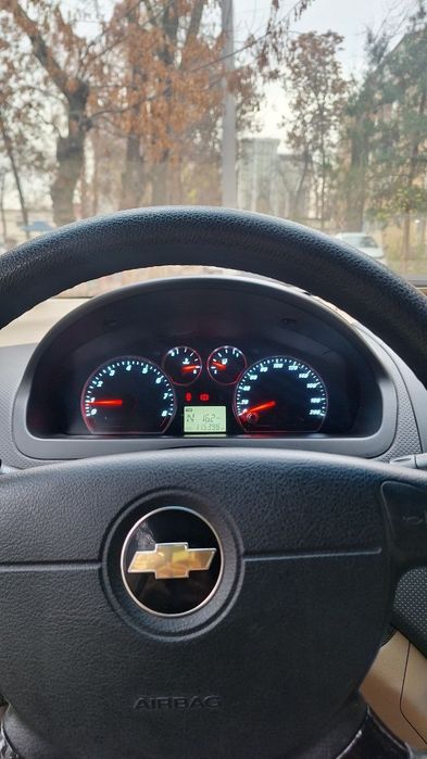 Barcha malumot telda