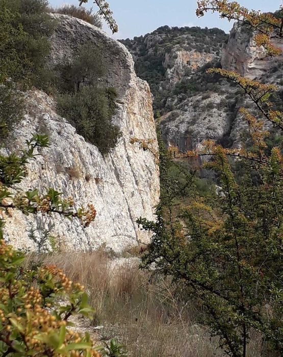 Дълбокотъканен масаж – нов живот за мускулите ви!