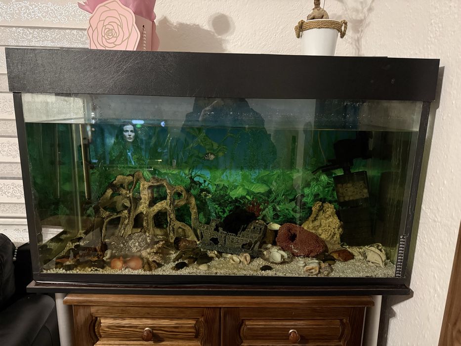 Аквариум 260л , 10мм стъкло