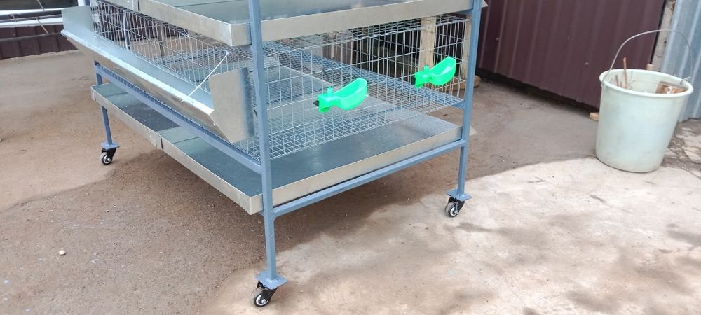 Клетка для перепелов