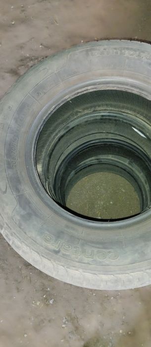 Шина сотлади 14. Лик