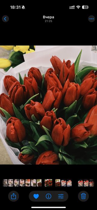 Тюльпаны, 25 шт.