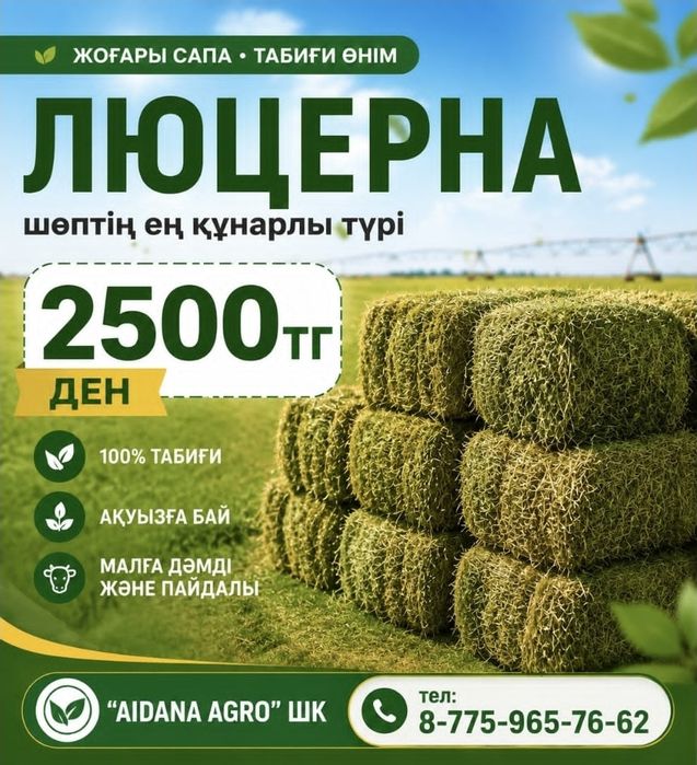 Люцерна сатылады