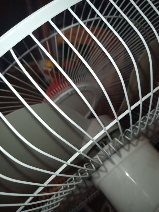 Отдам вентилятор за бесценок. Спешите