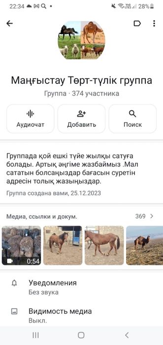 Төрт түлік группа Маңғыстау