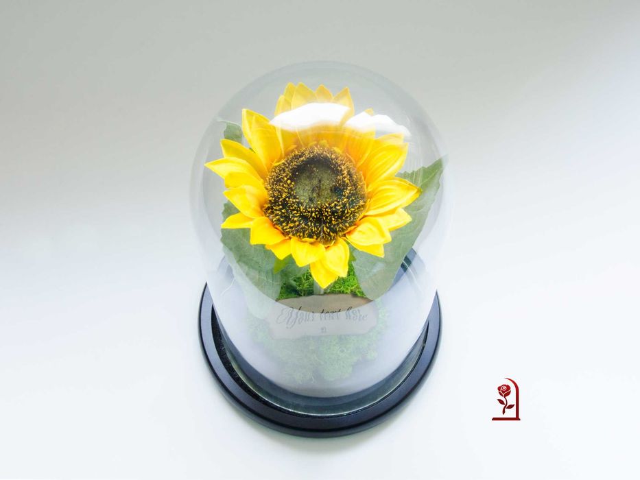 Вечен Слънчоглед в Голяма Стъкленица със Скандинавски Мъх / Ръчно изработен Подарък за Рожден Ден на Жена / Оригинален Подарък за Съпругата