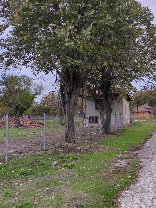 Имот с къща в с. Бързица, общ. Провадия