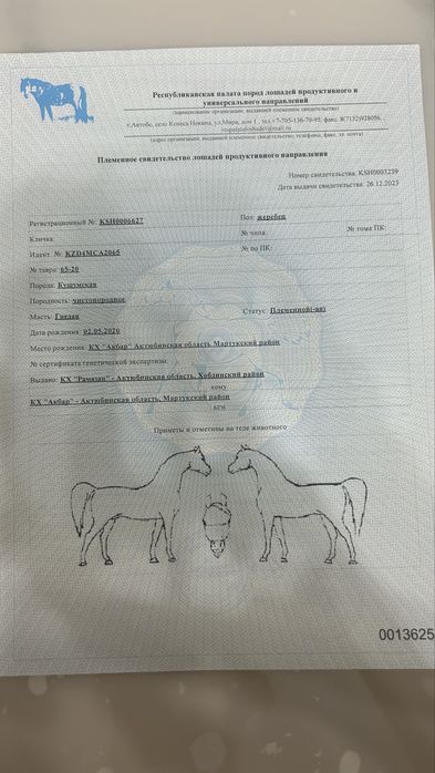 Бір уйір жылкы сатылады