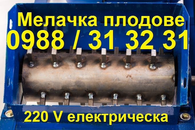 Мелачка / дробилка електрическа за плодове (ябълки, круши), зеленчуци