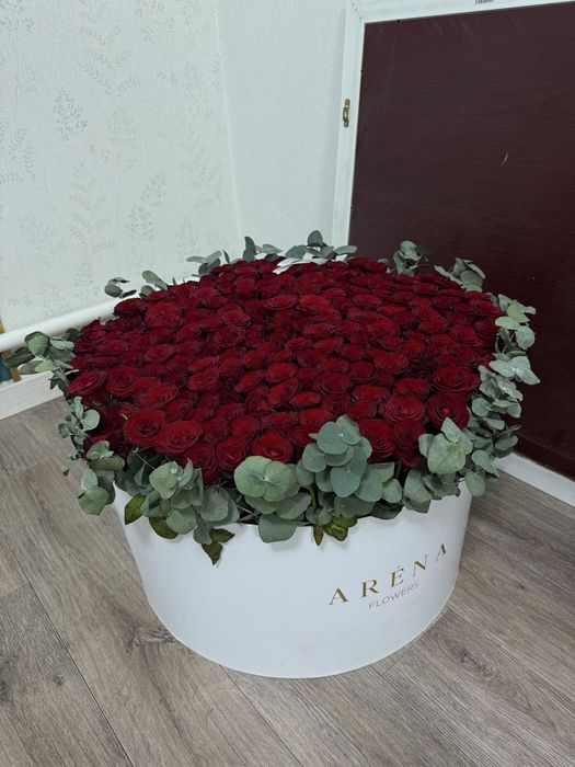 Цветы роза 151 роза