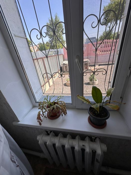 Продается домашние цветы