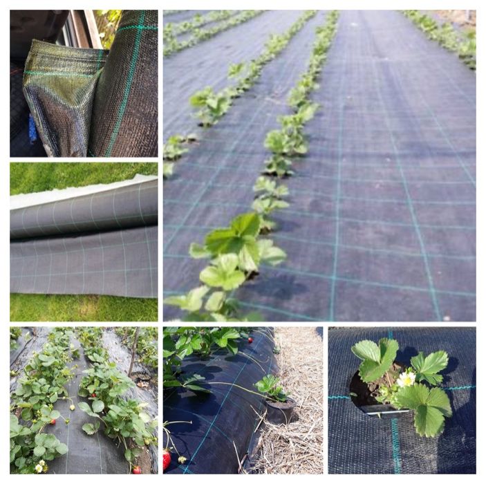 Reduceri finale!- Folie Mulcire/Agrotextil ( antiburuieni) CALITATE !