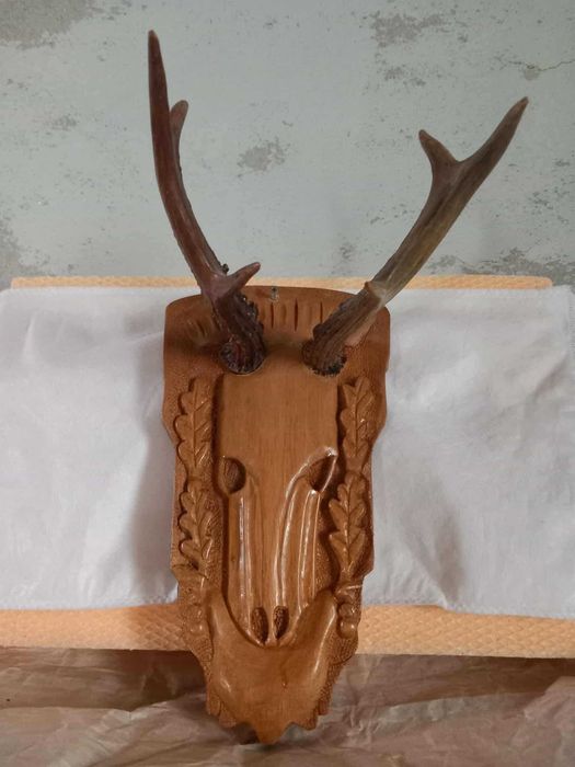 Trofee, decoratiuni decor sculptate cu coarne caprior