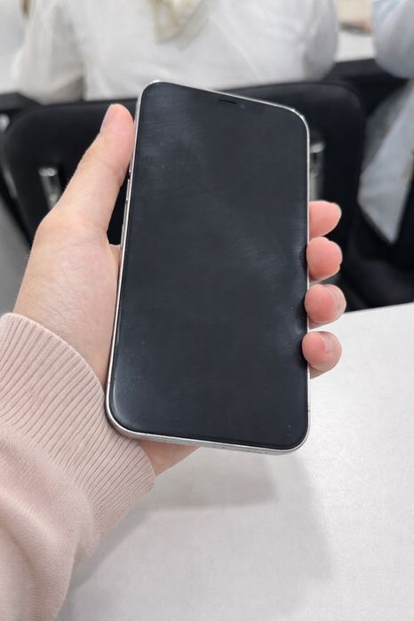 Iphone 12 pro max 256 gb