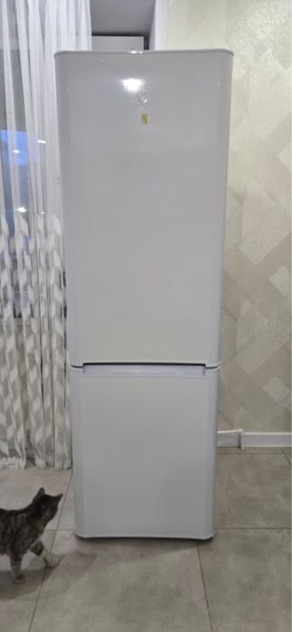 Продам холодильник Indesit