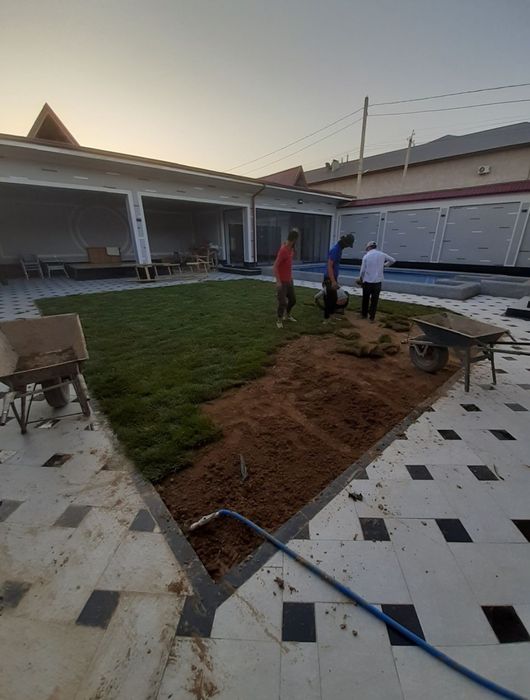 Газон Посевной! Газон рулонный