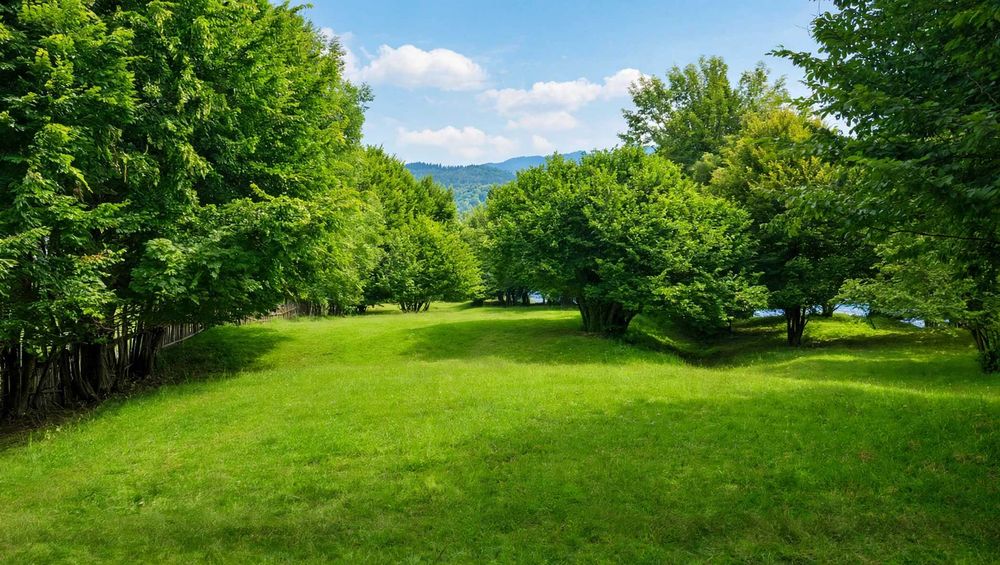 Teren 6000mp cu Lac | Valea Uzului | Zonă Turistică de Top | Utilități în dezvoltare