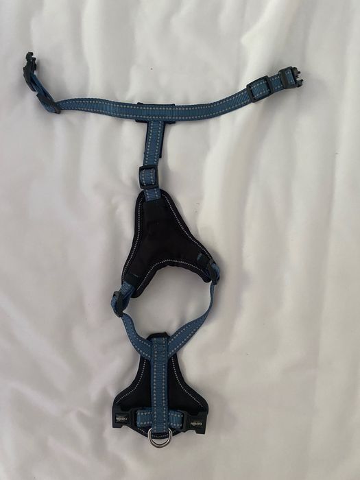 Ham Caine/Pisica + Lesa