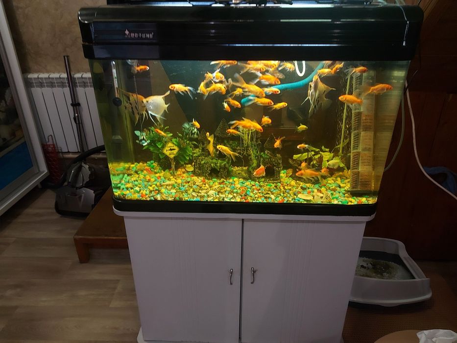 Аквариум 100 литров
