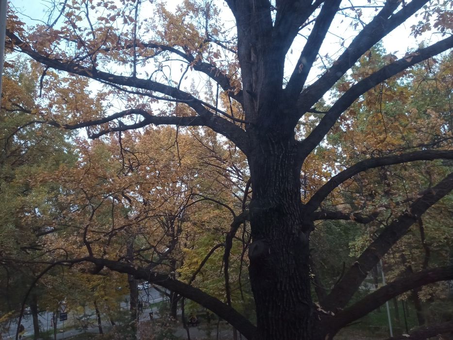 Аренда квартиры.