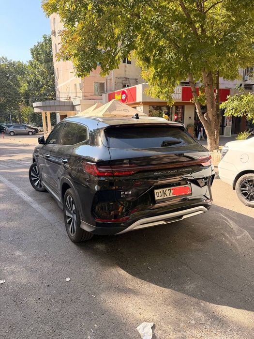 Byd song plus chempion 605