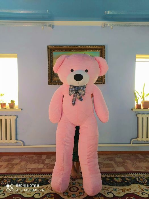 Плюшевый мишки ,