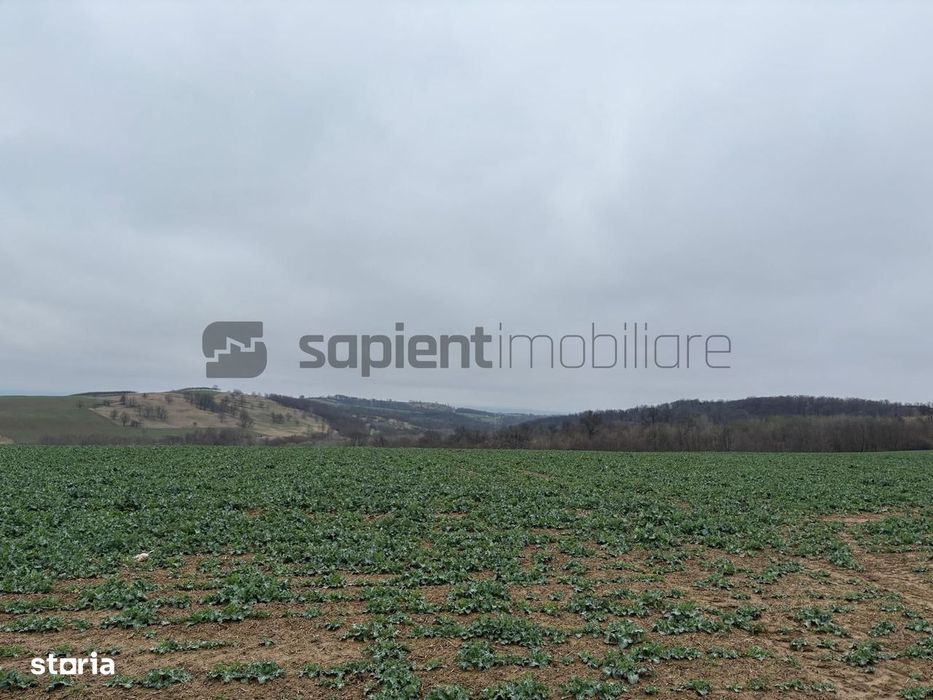 Teren în Hidiselul de Sus