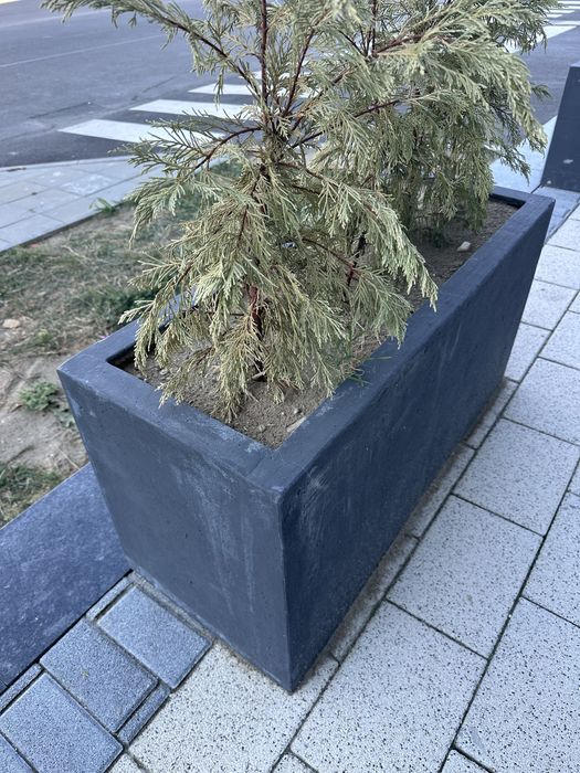 Кашпи - сиви, бетонови
