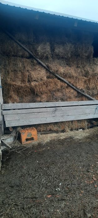 Vând baloți de fân