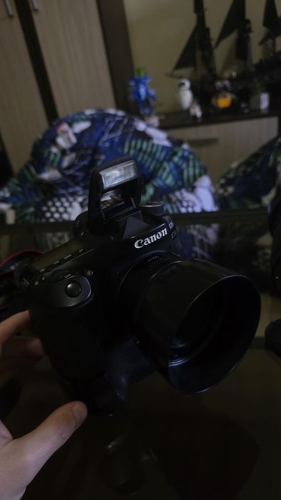 Canon EOS 80D + obiective Canon 18-135mm și 50mm + blitz Yongnuo