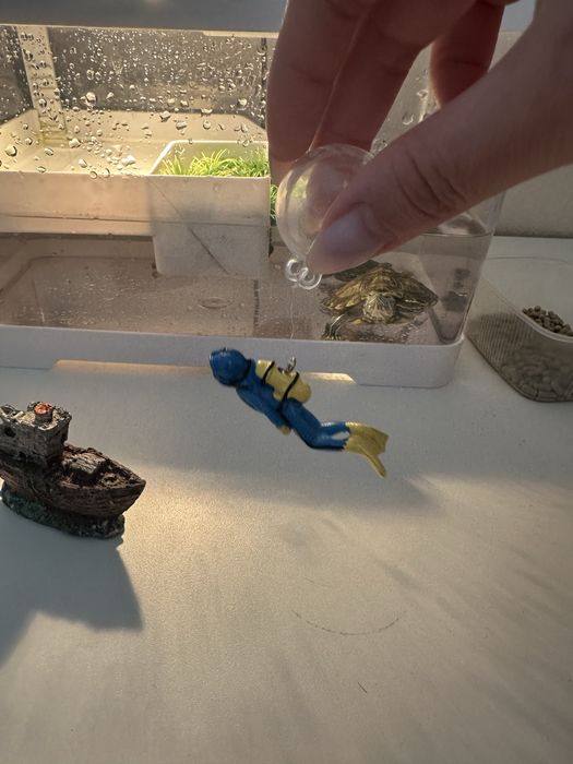 Красноухие черепашки