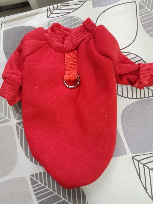 Вещи для маленьких собачек