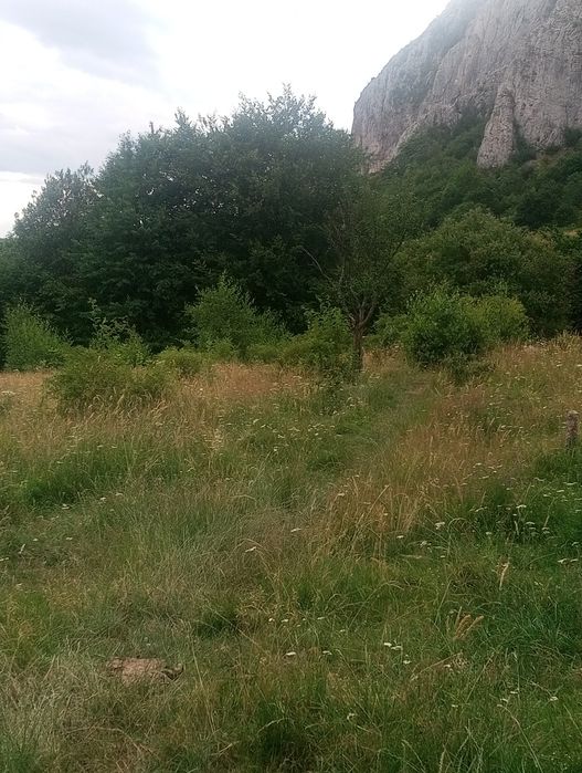 Teren Apuseni parcele