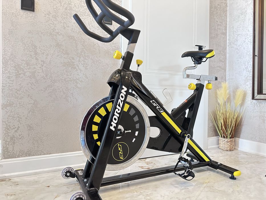 Спин байк Horizon FITNESS GR3
