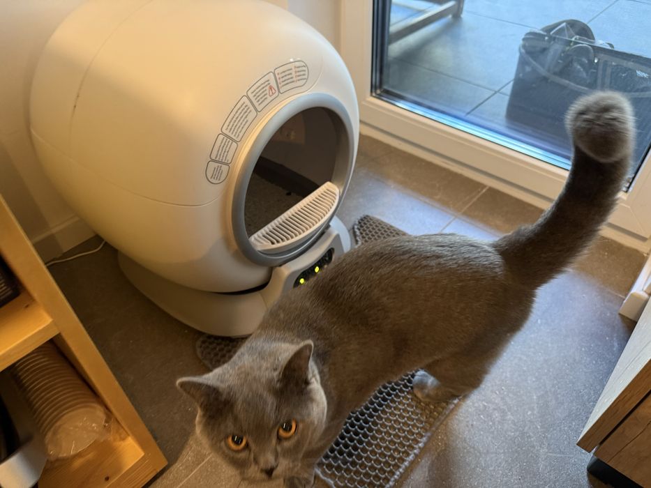 Vand Litiera Automata Shaw v2, cumparata in 2025, cu garantie!