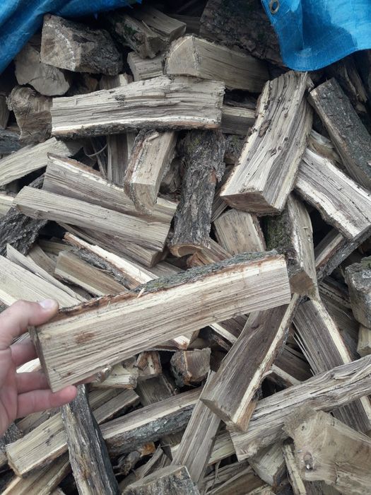 Дрова карагач тополь