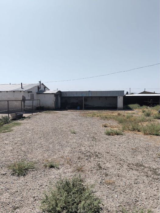 Фазенда Каракемер ауылында