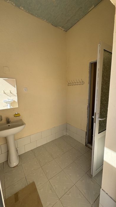 Kotej ijaraga beriladi