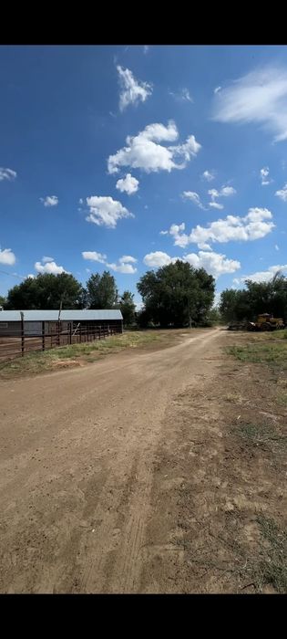 Продам фазенду с домом и землей