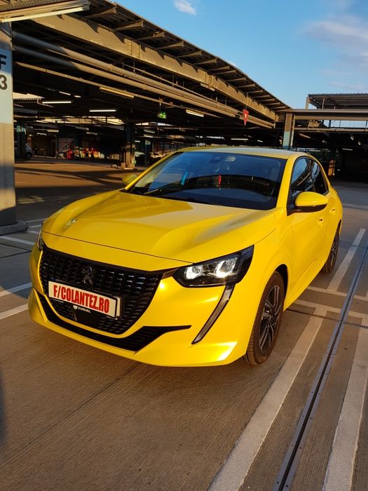 colantari auto premium sector 6